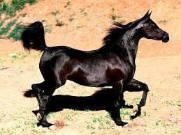 que hermoso¡¡¡