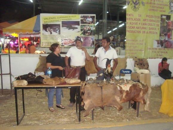 participando en la feria de la bandera(taxidermia y curtido sustentable de pieles.