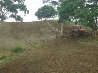 Preparacion de lotes para sembrar