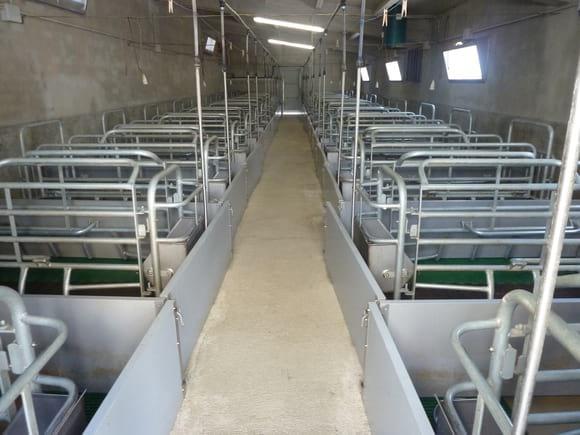 Sala de maternidad