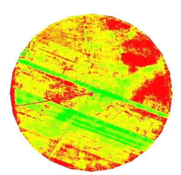 NDVI Trigo