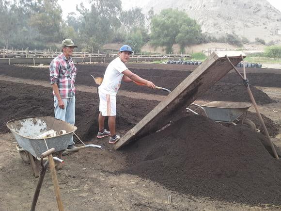 cerniendo el humus