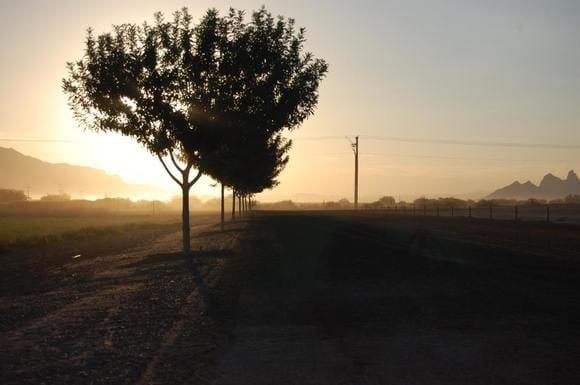 Sunset on dairy farm