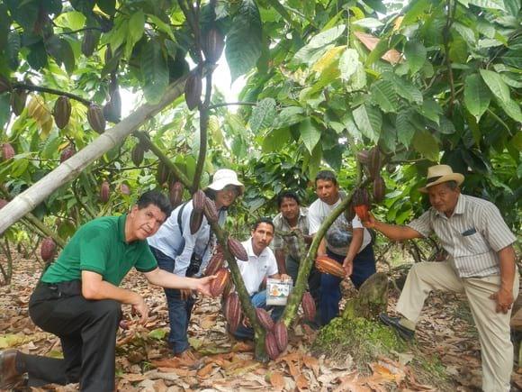 Ensayo en la Finca del Sr. Carlos Espinoza