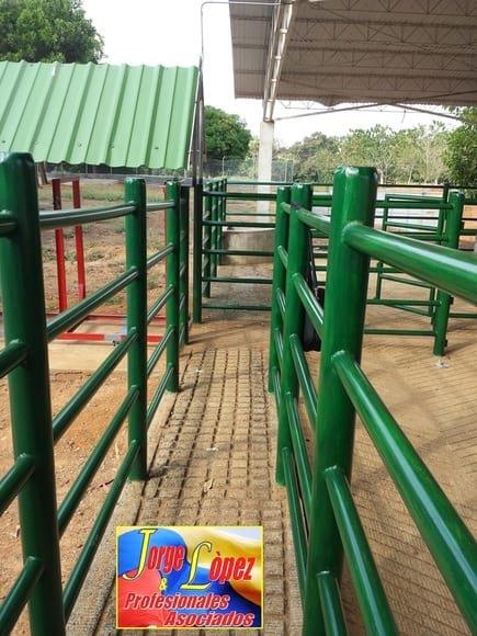 PLANTA DE BENEFICIO DE GANADO MPIO MONTELIBANO
