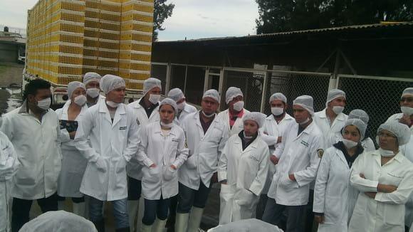 EN PRACTICA CON MIS ALUMNOS DE INOCUIDAD ALIMENTARIA 2015 A, EN EL ESTADO DE GUANAJUATO