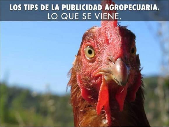 Bialar. Expertos en Marketing Agropecuario