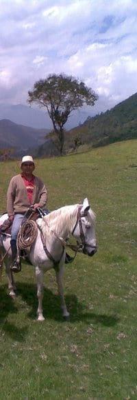 Trabajo de campo