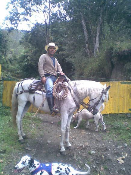 Con los animales