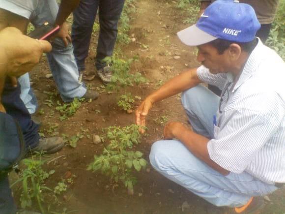 COMPARTIENDO CON LOS PRODUCTORES Y DOCENTES DEL EBB ENRIQUE FLORES