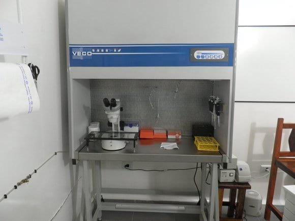 Produccion In Vitro