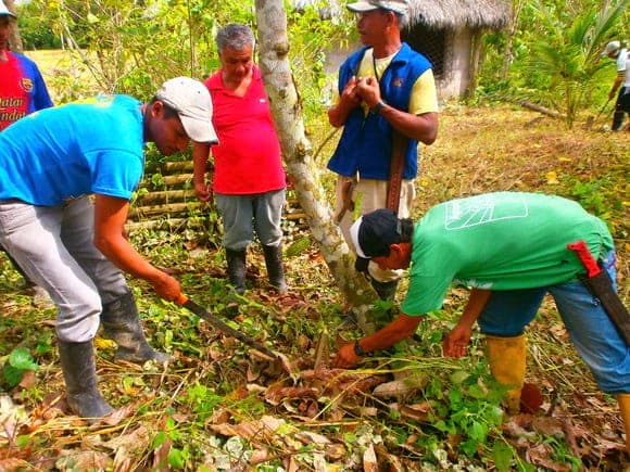 COLOCACION DE TARRINAS