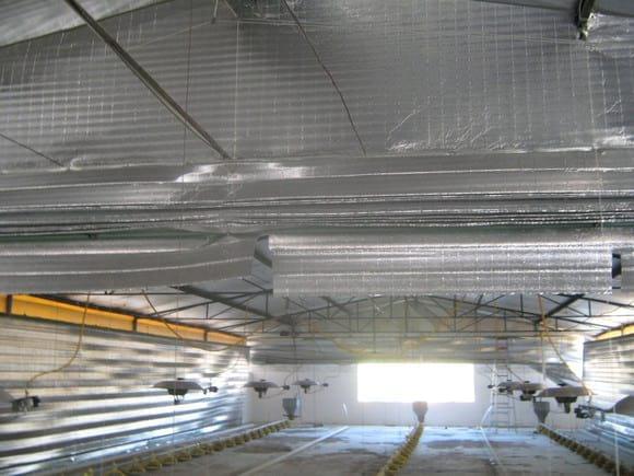 Cortinas para recibo de pollitos