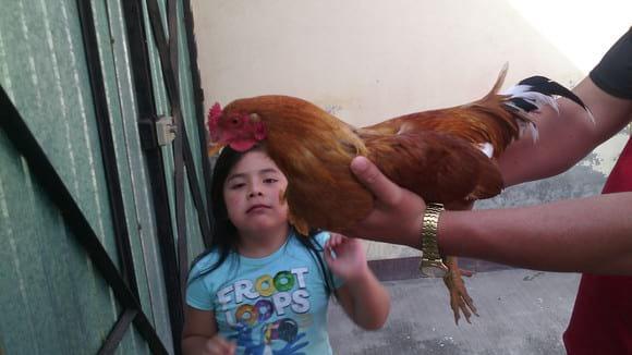 cargando a mi cruza el guero