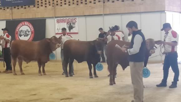 AGROEXPO 2015