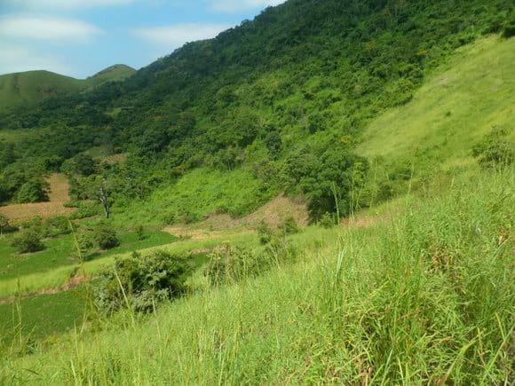 norte verano guarate