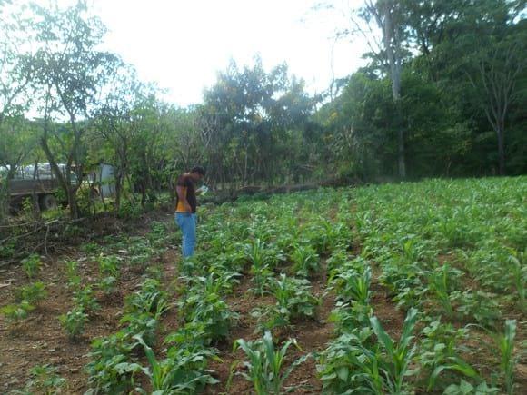 norte verano comunidad de valle de la cruz