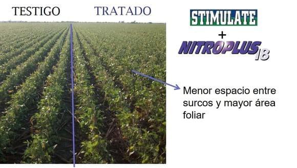 Recuperacion del daño de granizo en soja
