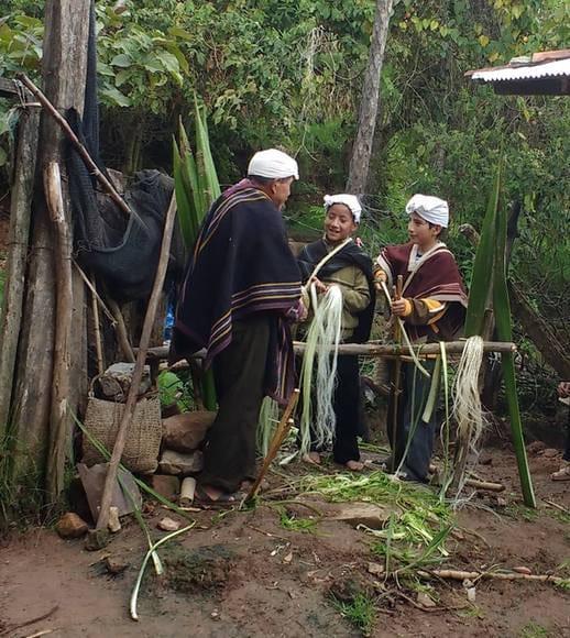 tradicion pura