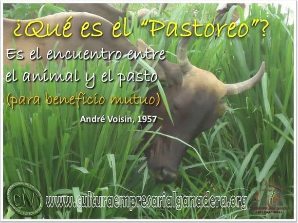 Infografía: ¿Que es el "Pastoreo"?