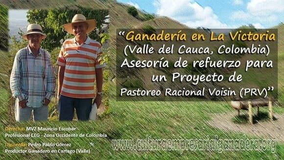 Pastoreo Racional Voisin en La Victoria (Valle del Cauca)