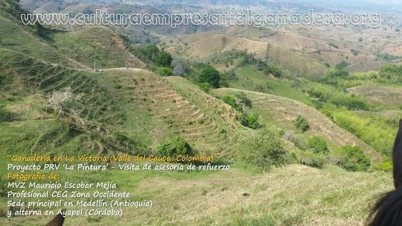 Potreros en terrenos inclinados y quebrados implementando PRV
