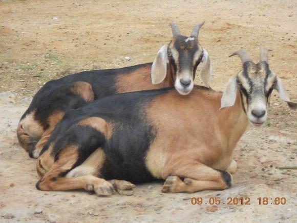 Madre e hija