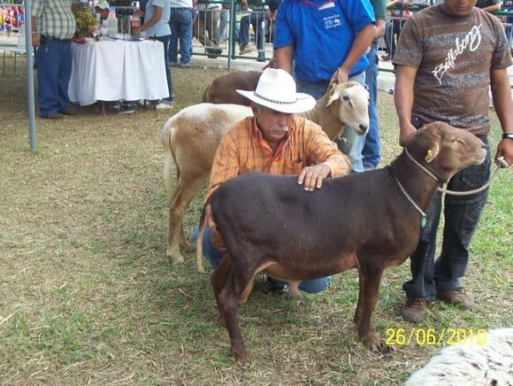 Evaluación del Juez Jesus Muñoz.