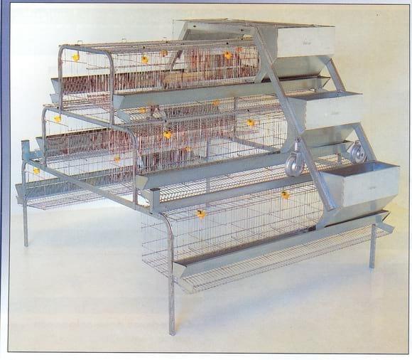 Módulo para 120 ponedoras. Dos metros de largo. Con bebederos, comederos y antipicaje de huevos