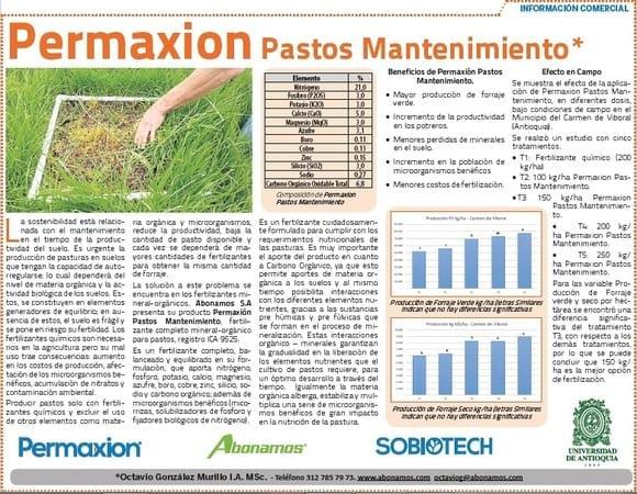 PASTOS MANTENIMIENTO