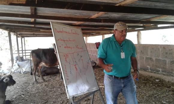 Taller sobre Practica de Manejo Zoosanitario del ganado Bovino
