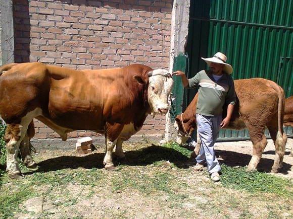 www.agriperia.com