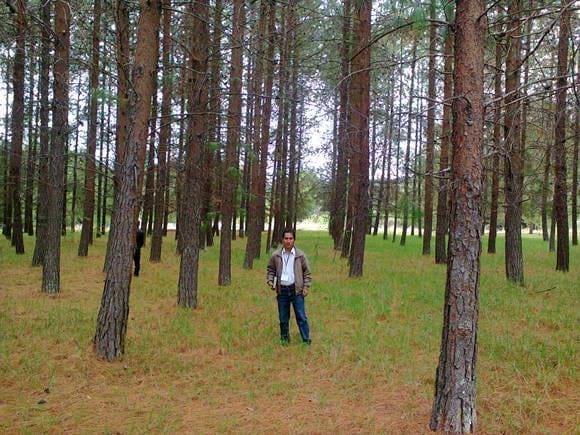 www.agriperia.com