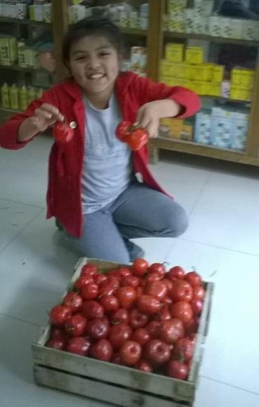 www.agriperia.con