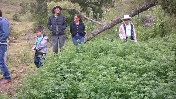 www.agriperia.com