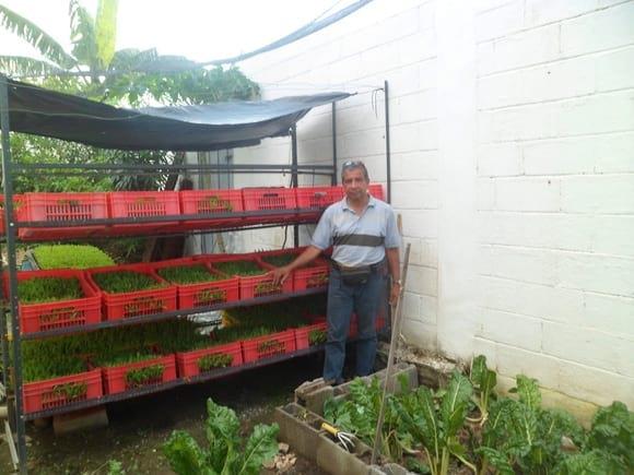Produccion de Forraje Verde Hidroponico