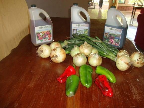 En la mesa de mi casa con mis productos y los productos Organicos de Bio Karol