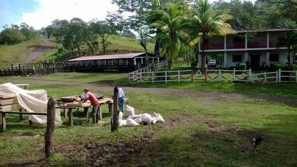 Finca en venta apta para cafe y ganado de leche