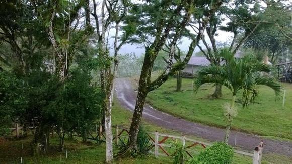 Via de entrada de todo terreno hacia la finca