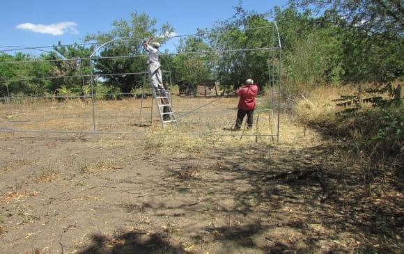 Soy Diseñador de estructuras Agropecuario- construccion de tuneles