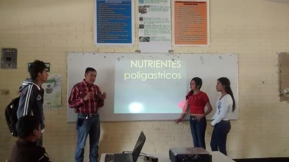 MANEJA ESPECIES POLIGASTRICAS