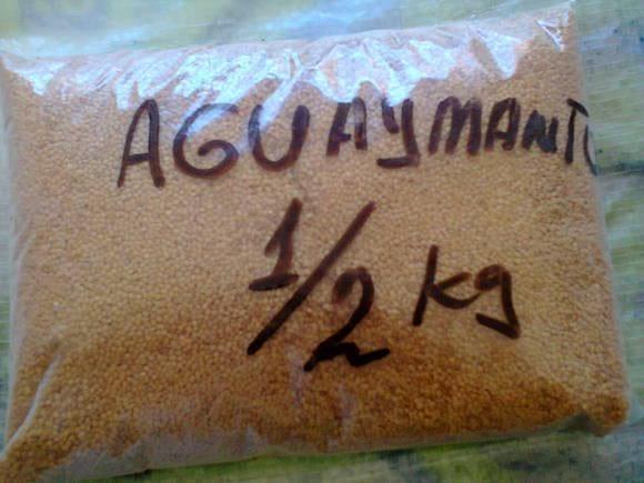 Aguaymanto