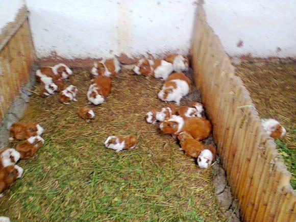 www.agriperia.com