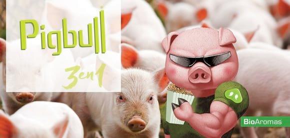 Porcinos. Pigbull 3 en 1 para Lechones y Madres en Lactancia