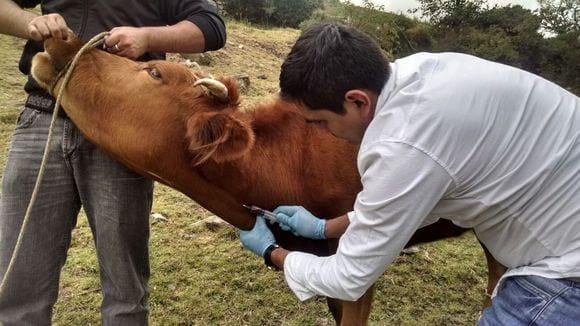 trabajo en campo