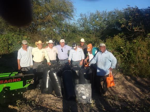 ENSILAJE EN BOLSA