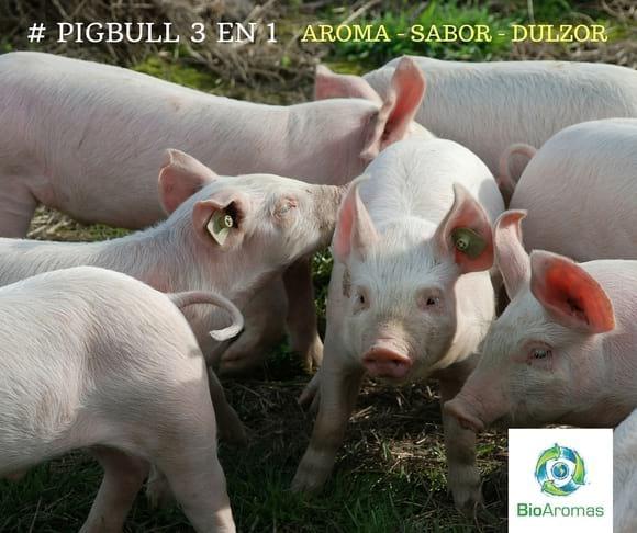 Pigbull 3 en 1. Nutrición Animal