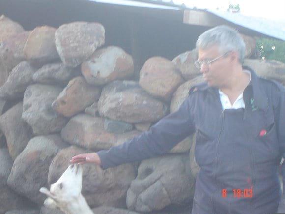 Caprinos.Pequeños productores