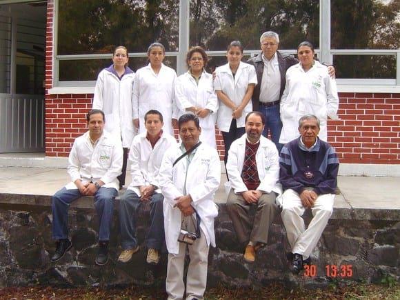 Influenza porcina. Somos equipo