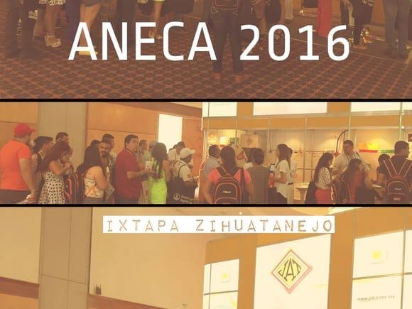 ANECA: Increíble